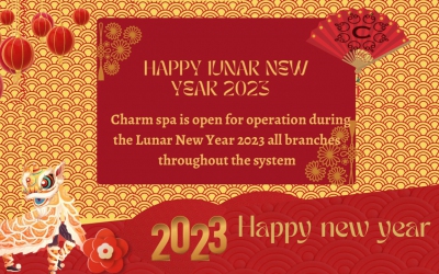 lunanew year ta