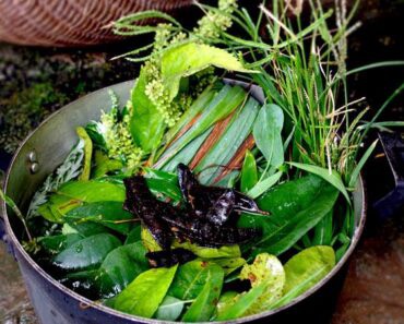 nước lá xông thảo dược