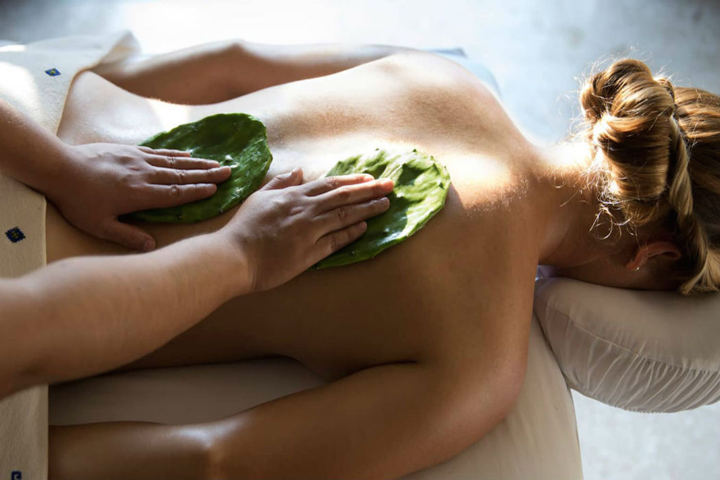 massage toàn thân với cây xương rồng